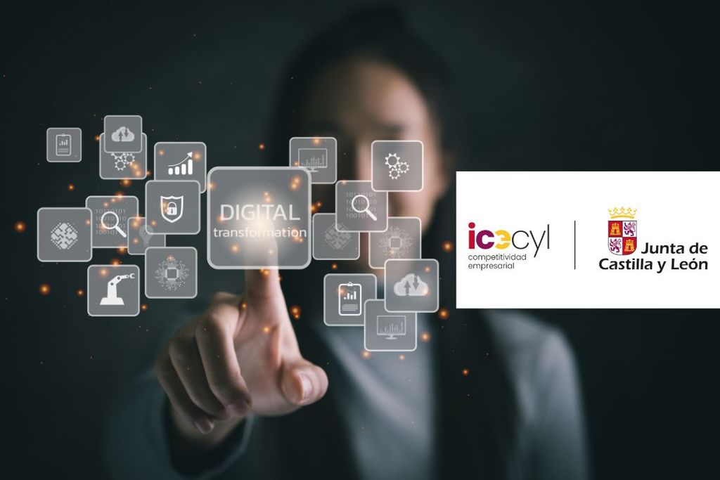 Subvenciones para la digitalización básica de autónomos y pymes de ...